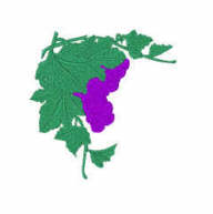 grapes1.jpg - 4550 Bytes