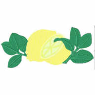 lemon.jpg - 4311 Bytes