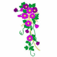 misty.jpg - 6230 Bytes