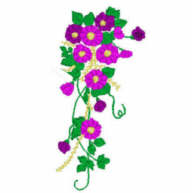 misty1.jpg - 6236 Bytes